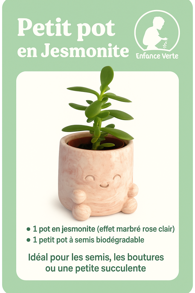 Pot à semis JESMONITE