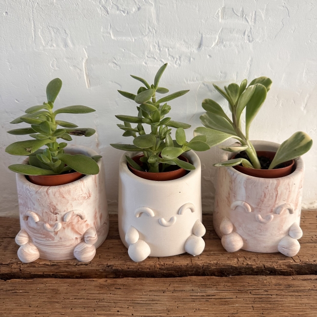 Pot à semis JESMONITE