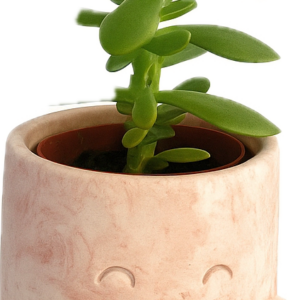 Pot en jesmonite