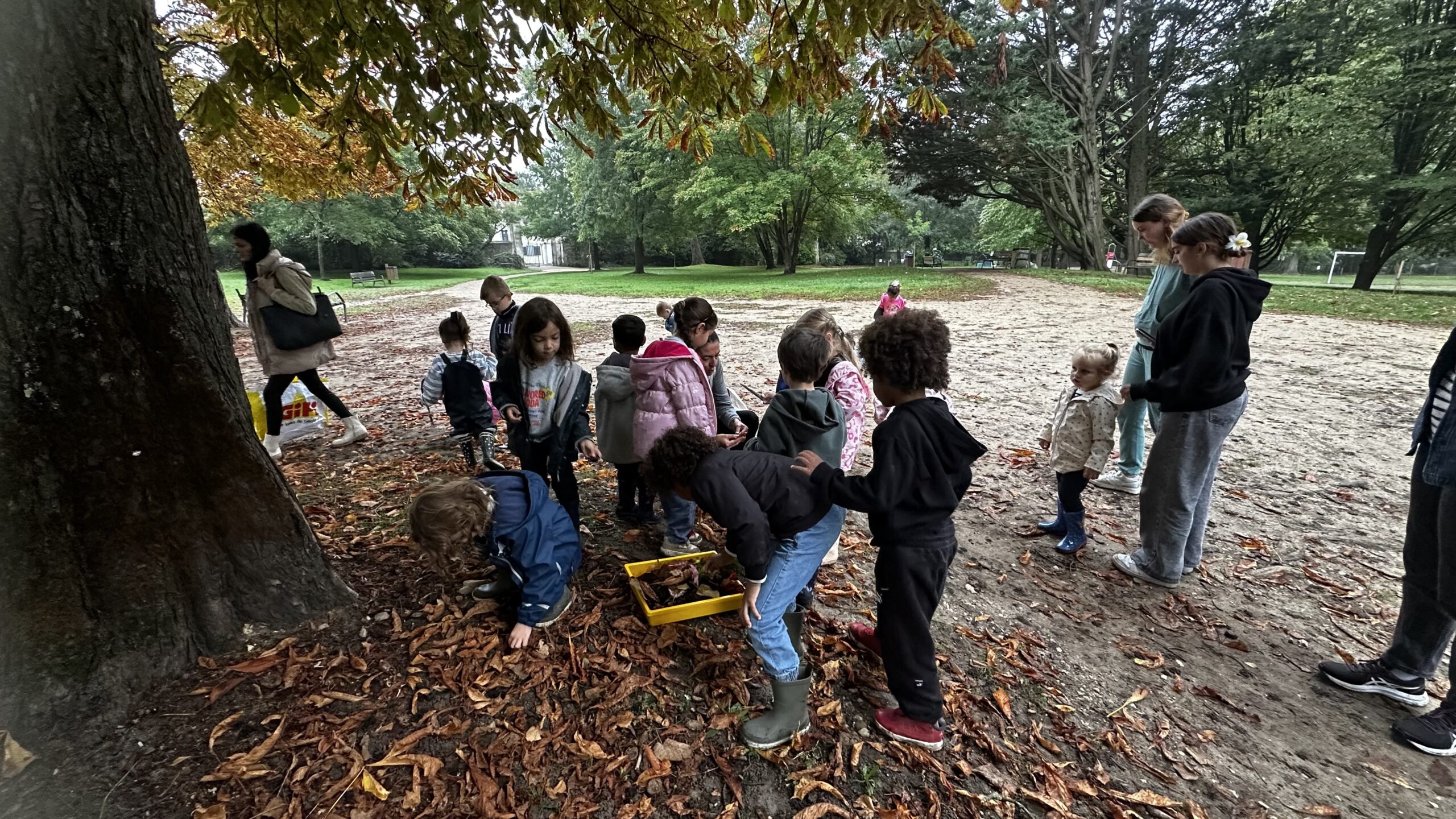 Sortie nature sous la pluie : 4 découvertes à partager avec les enfants